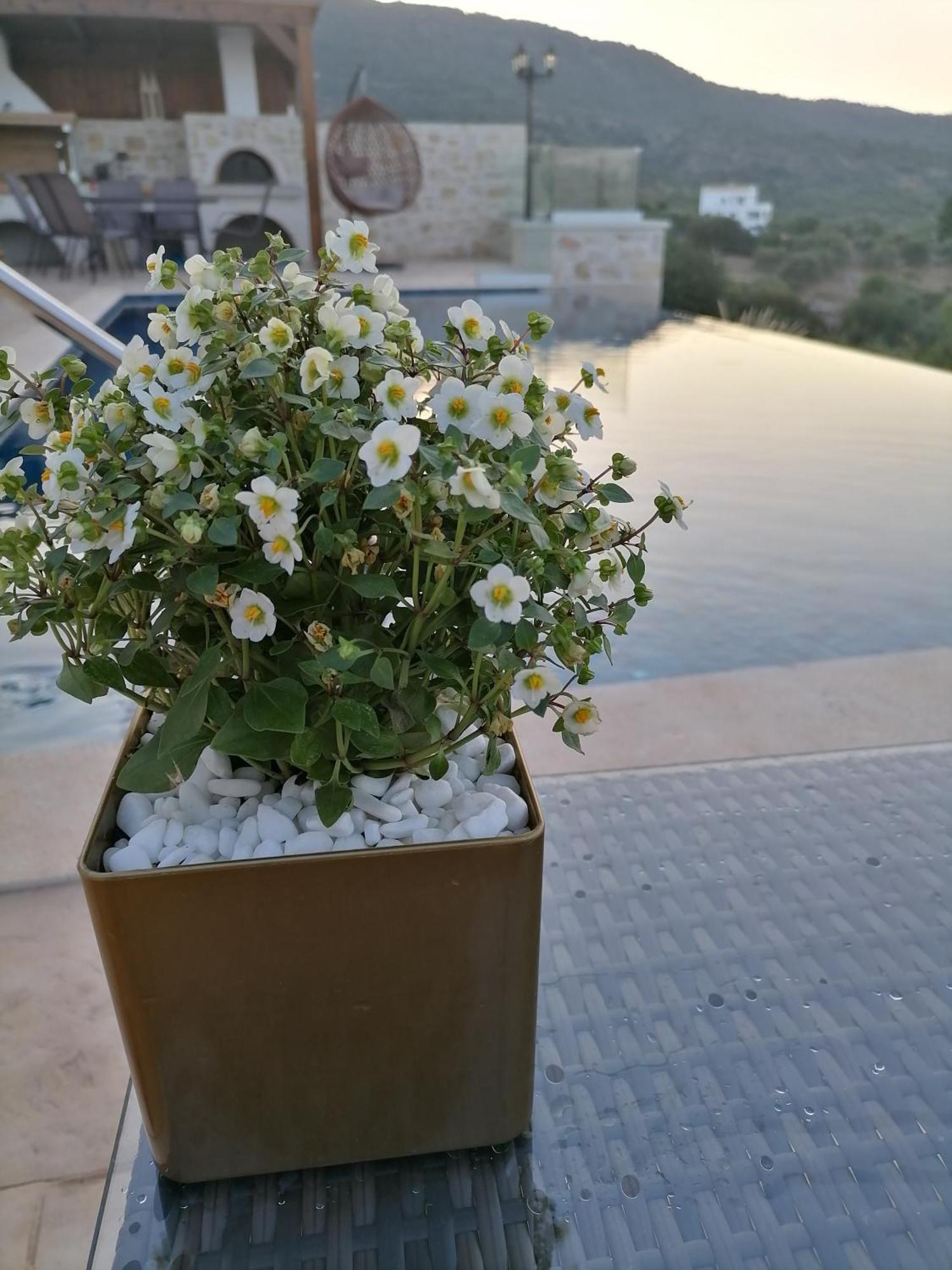 Villa Halepouri Chania  Bagian luar foto